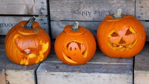 Three bright orange pumpkins carved into different shapes, including a cat, ghost, ghost and a spooky face.